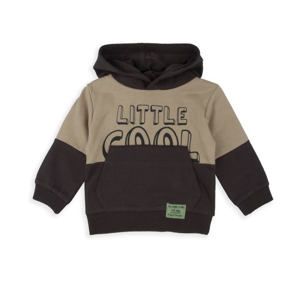 Sudadera Little Cool
