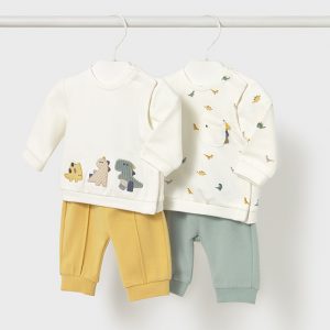 Conjunto Dinosaurio