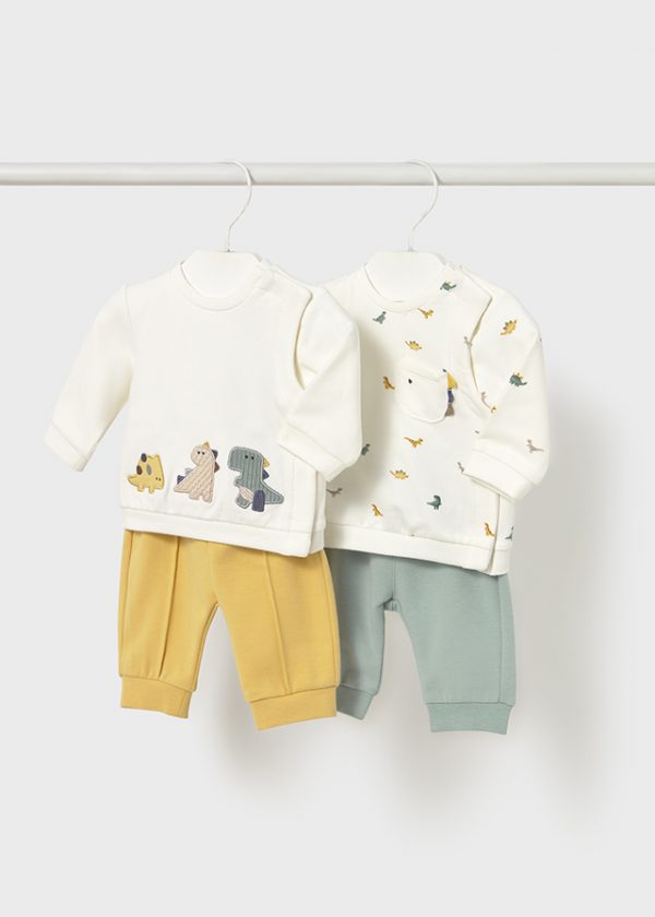 Conjunto Dinosaurio