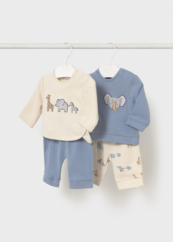 Conjunto Animales