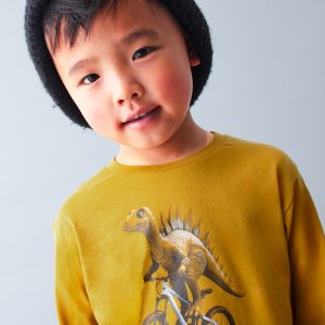 Camiseta Dino