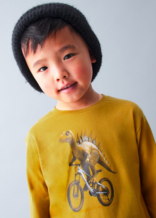 Camiseta Dino