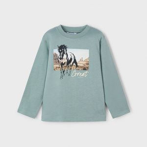 Camiseta Caballo