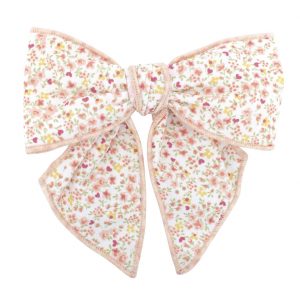 Lazo Pelo Pinza Kanpur